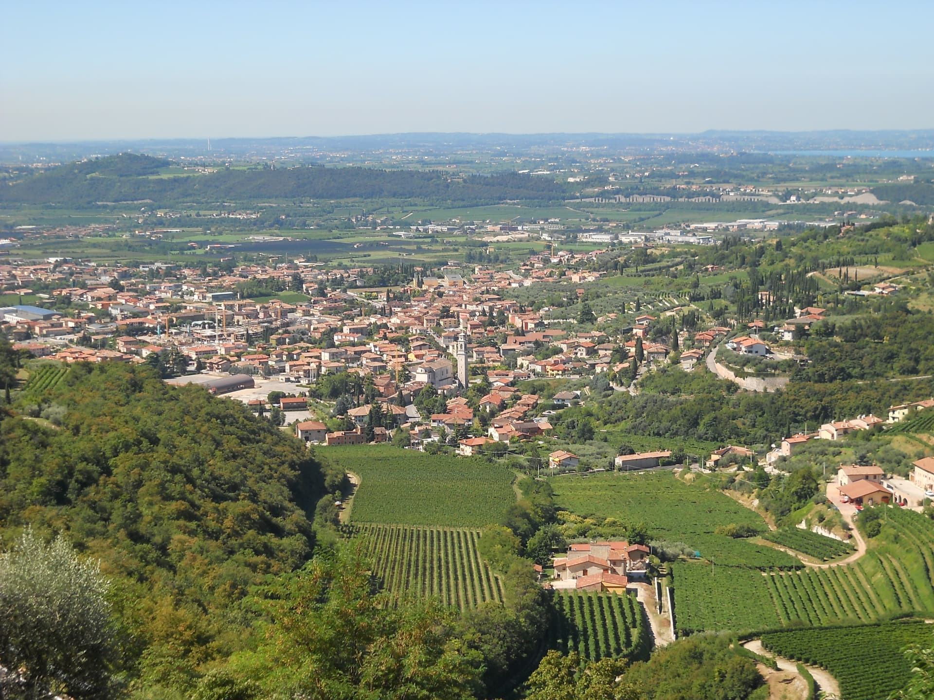 Immagine principale di Sant'Ambrogio sul Garigliano da Wikipedia