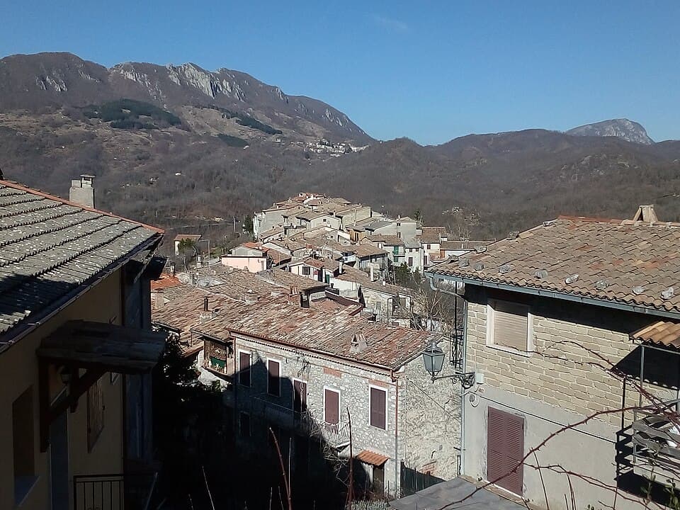 Nespolo