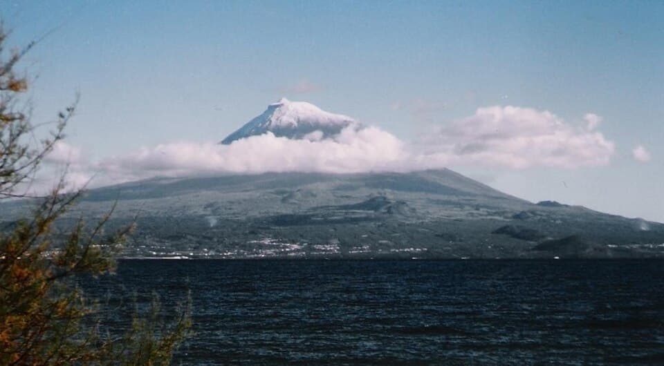 Pico