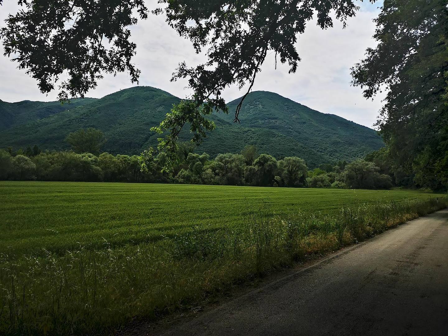 Colli sul Velino, Lazio