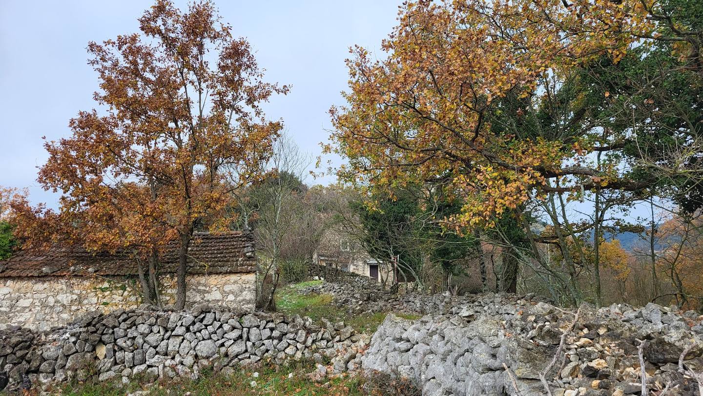 Colle San Magno (Frosinone)