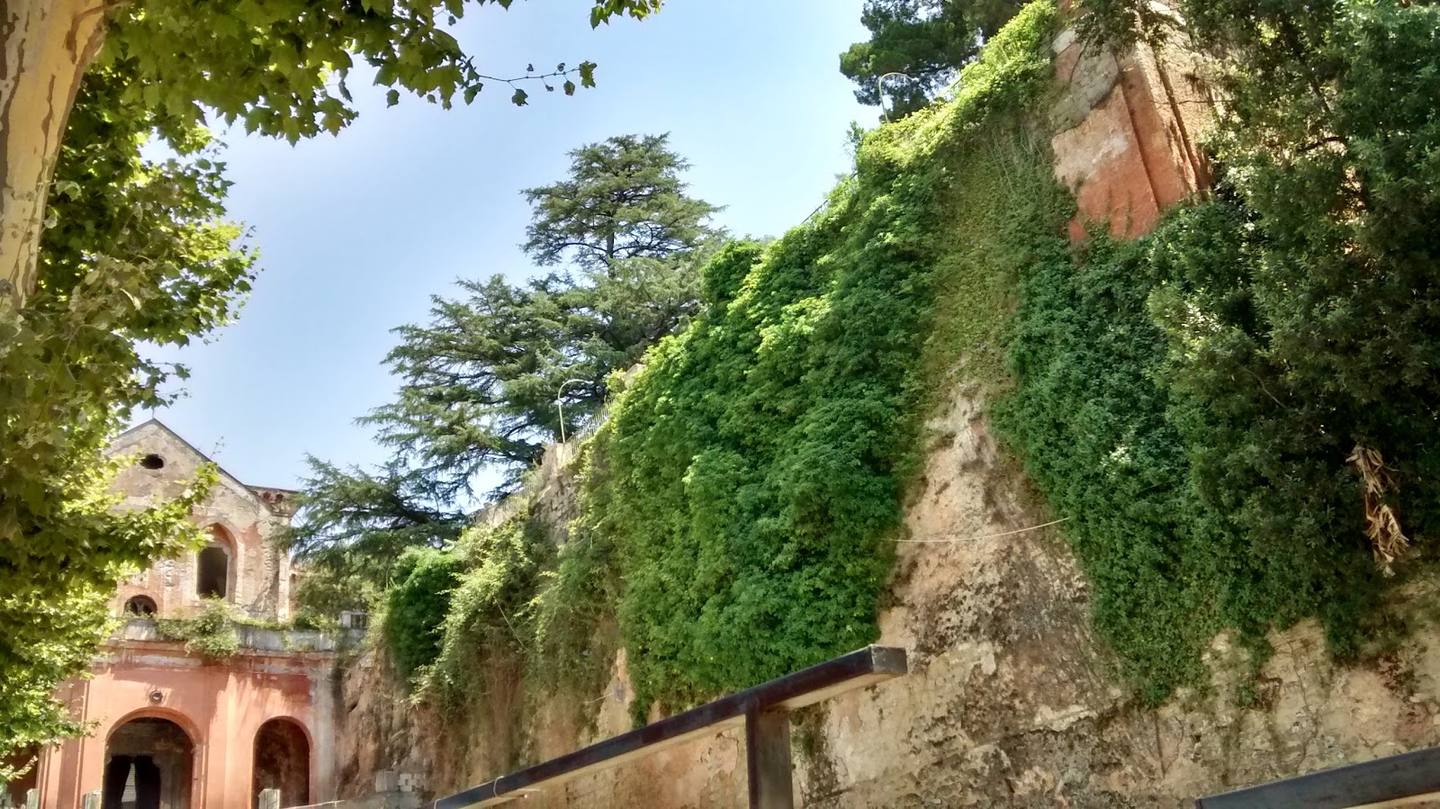 Casamarciano