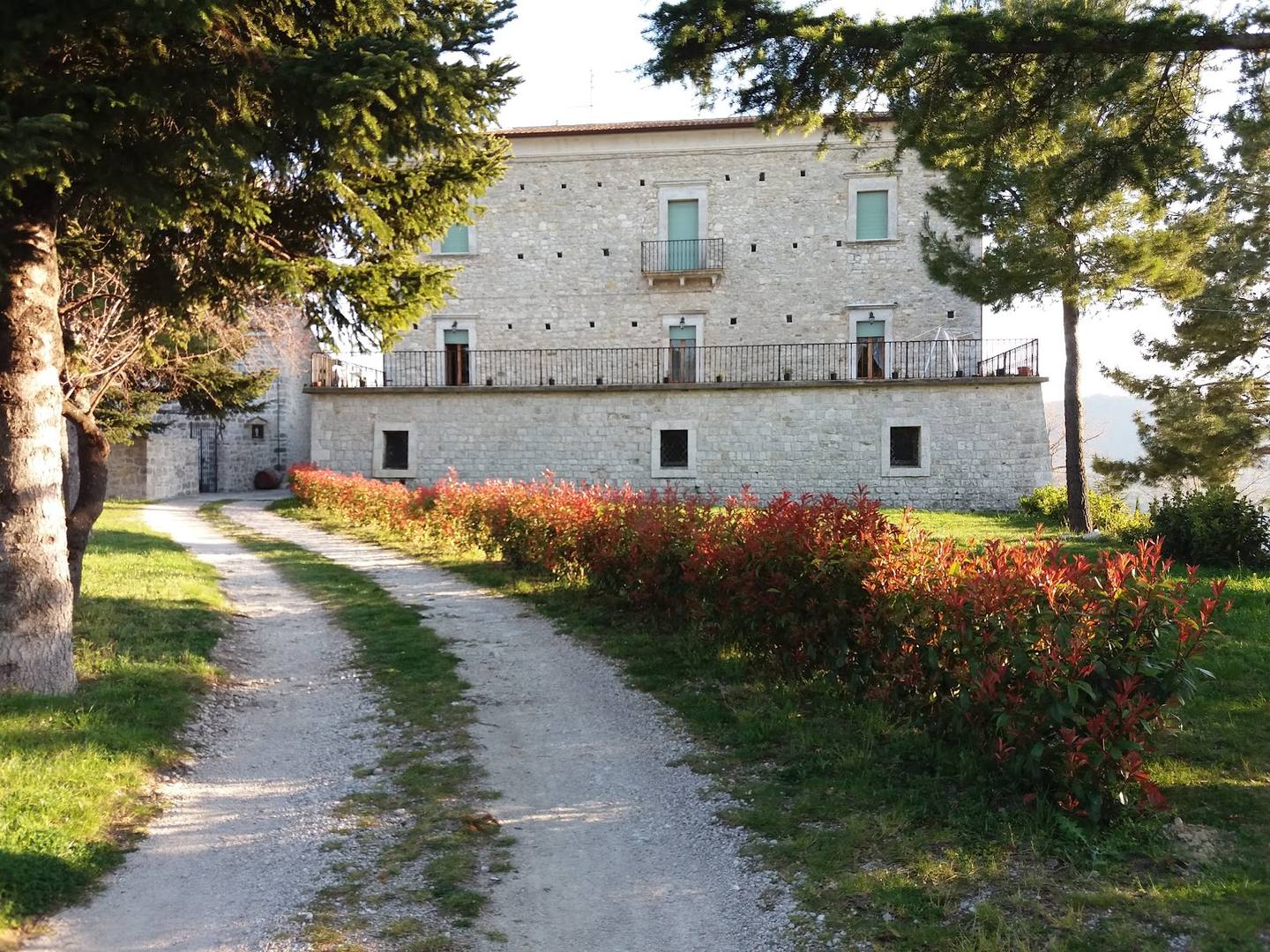 Carpineto Sinello