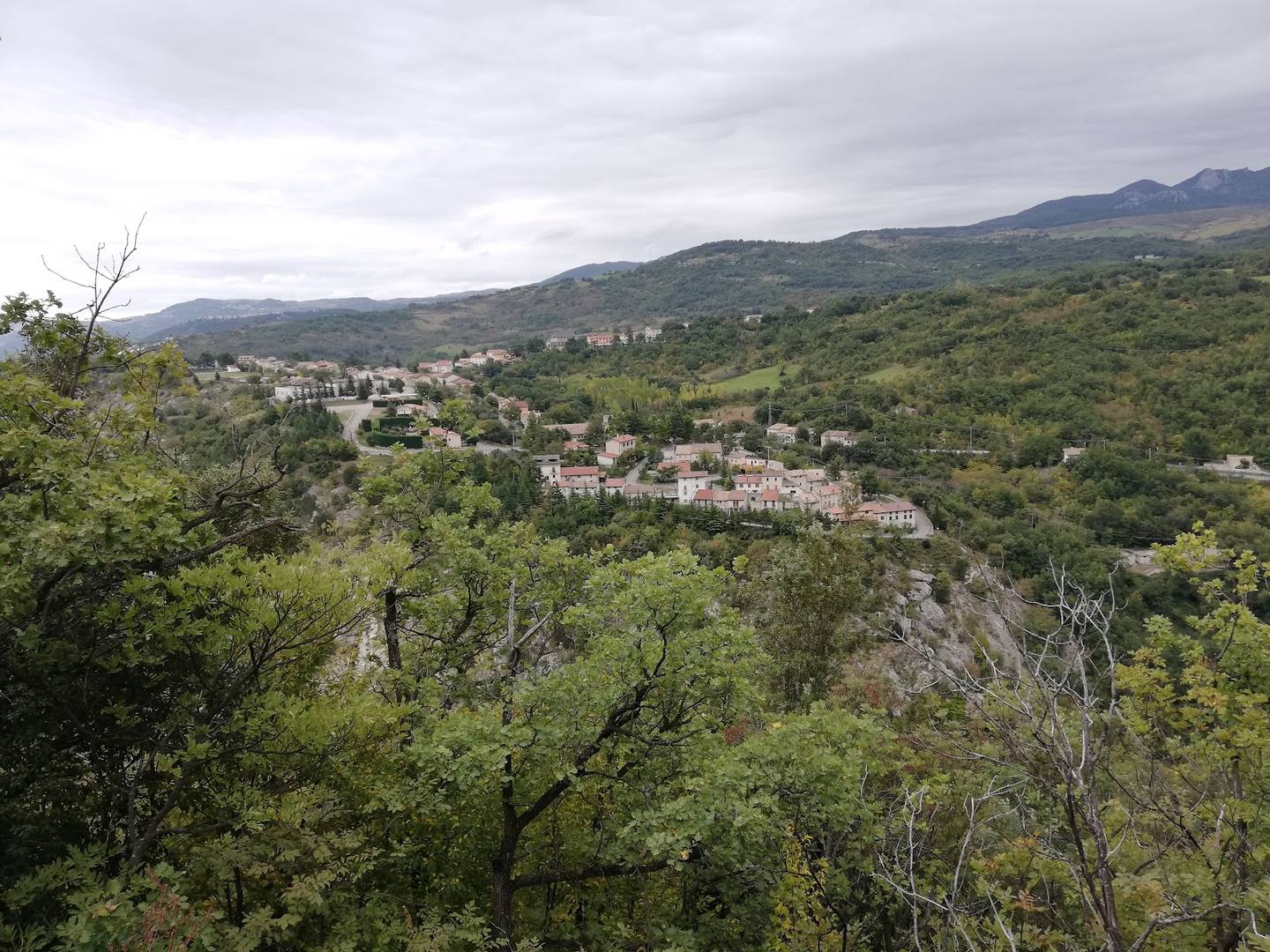 Lettopalena