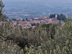Cervaro (Frosinone)