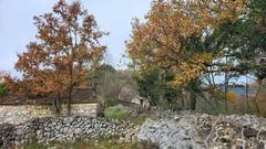 Colle San Magno (Frosinone)