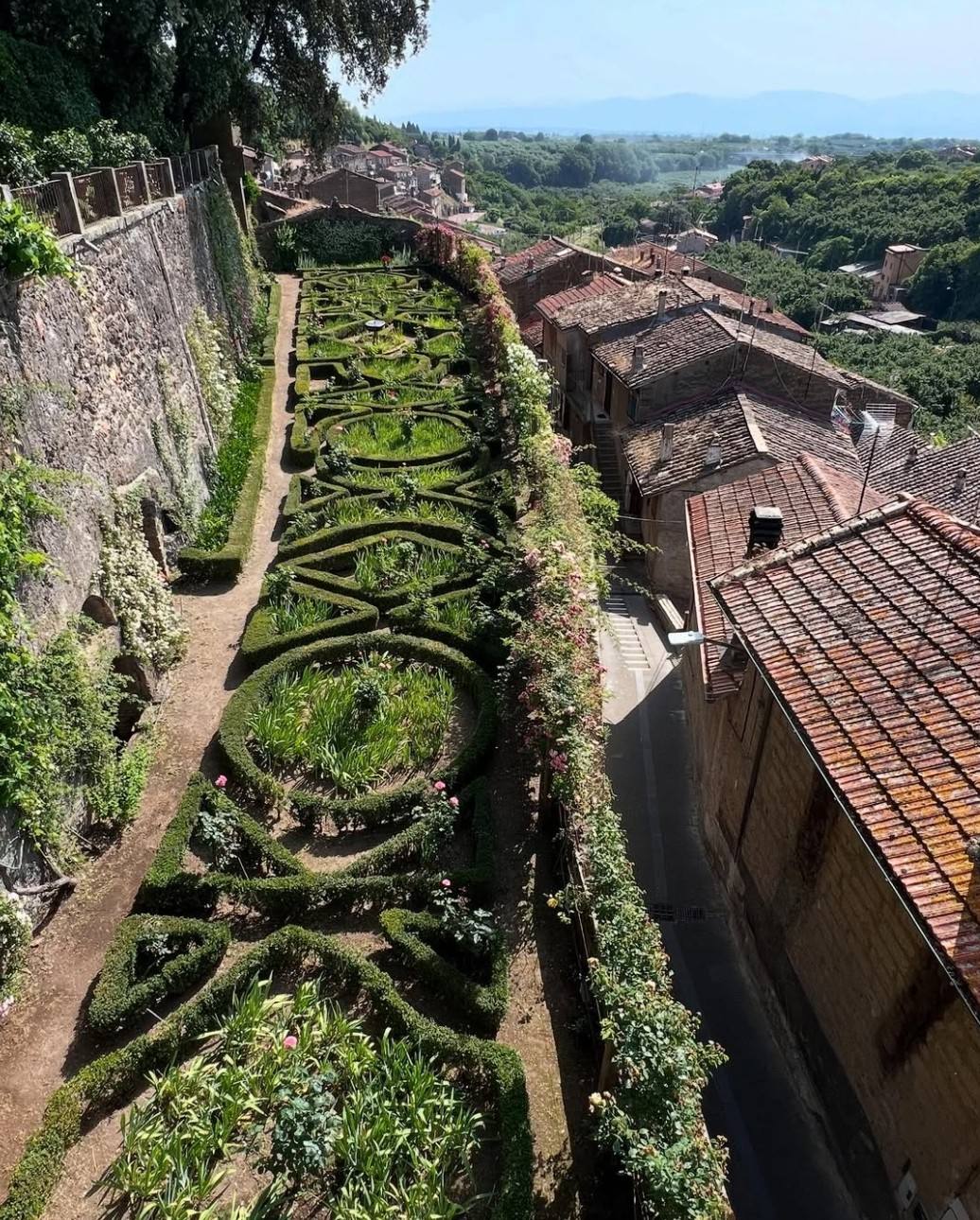 Vignanello (Viterbo)