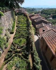 Vignanello (Viterbo)
