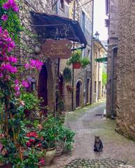 Amaseno (Frosinone)